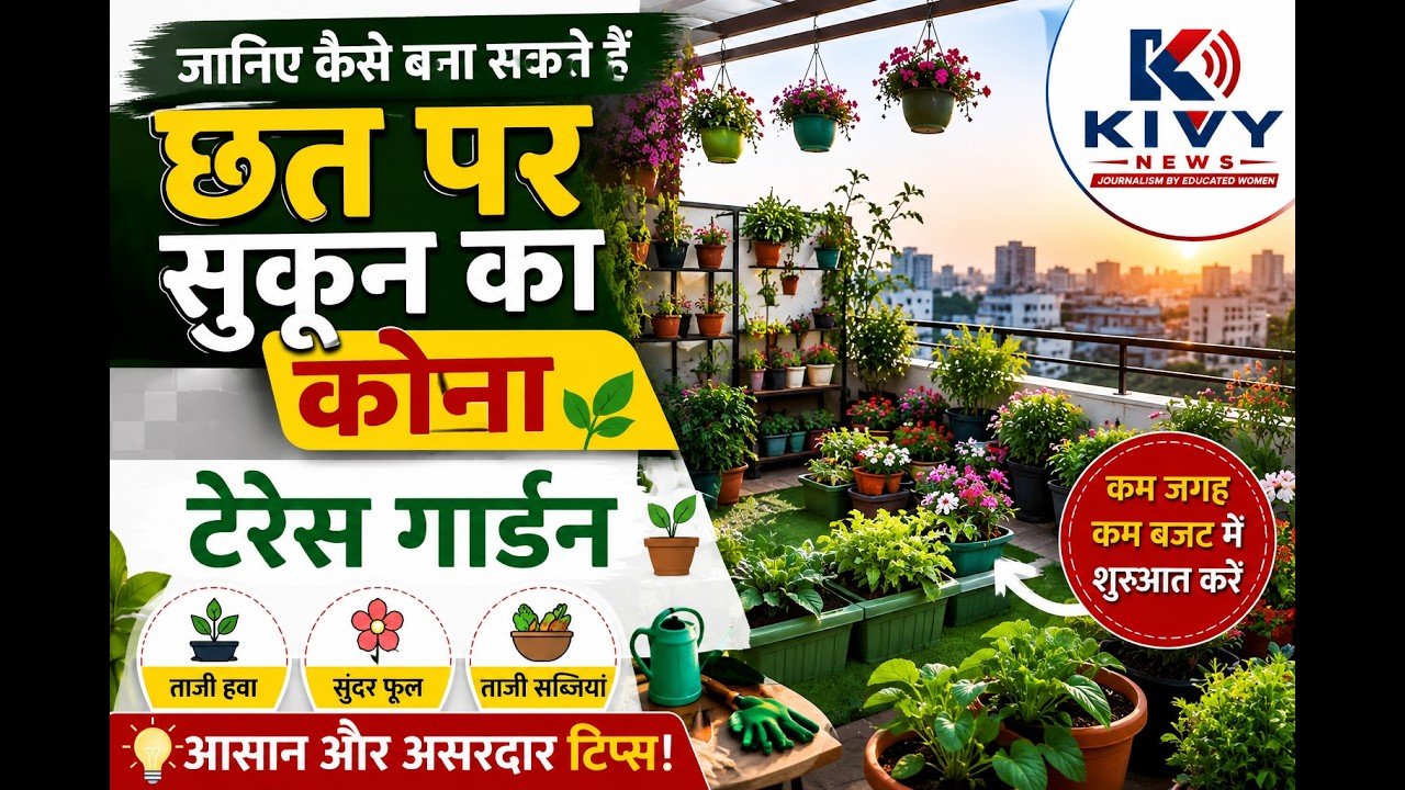 🏡 छत पर बनाएं सुकून का कोना! 🌿 | Terrace Garden के आसान Tips | KIVY NEWS